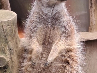 2025 Aktive Herbsttage 1.4